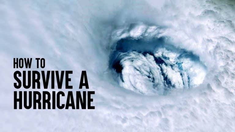 Hurricane Safety Tips – Atlantic International University