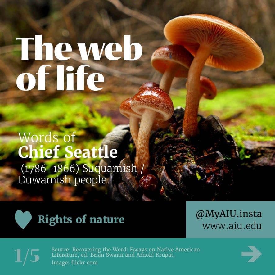 The Web of Life (Rights of Nature) – Atlantic International University