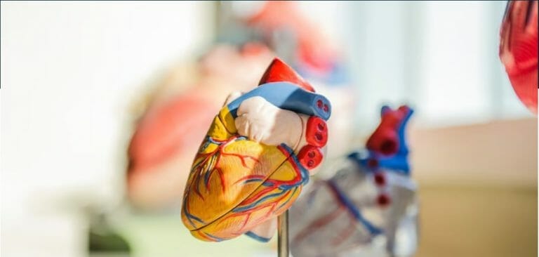 Detect a heart attack 10 years before it happens,  thanks to science