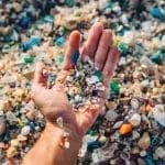 Microplastics in Our Ecosystems