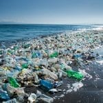 Leading the Charge Against Plastic Pollution