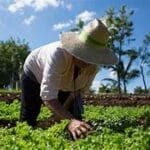 Comunidades Ecológicas y su Importancia en los Agroecosistemas