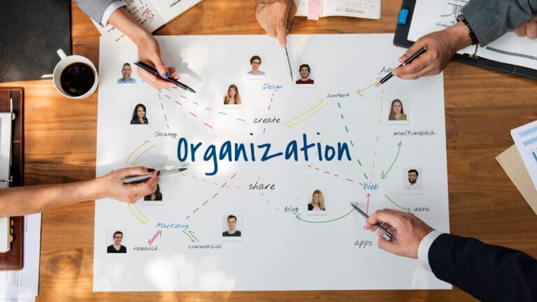 Organization-Team-Work