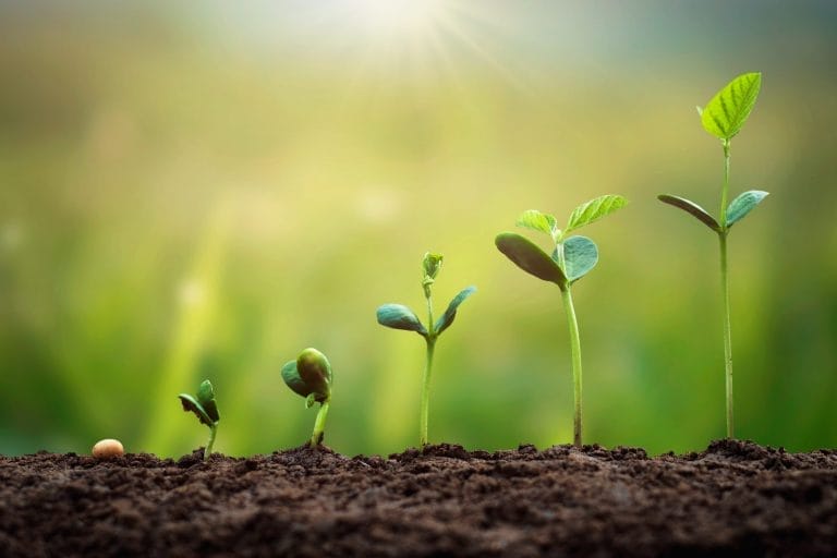 AdobeStock_433213276-1-scaled